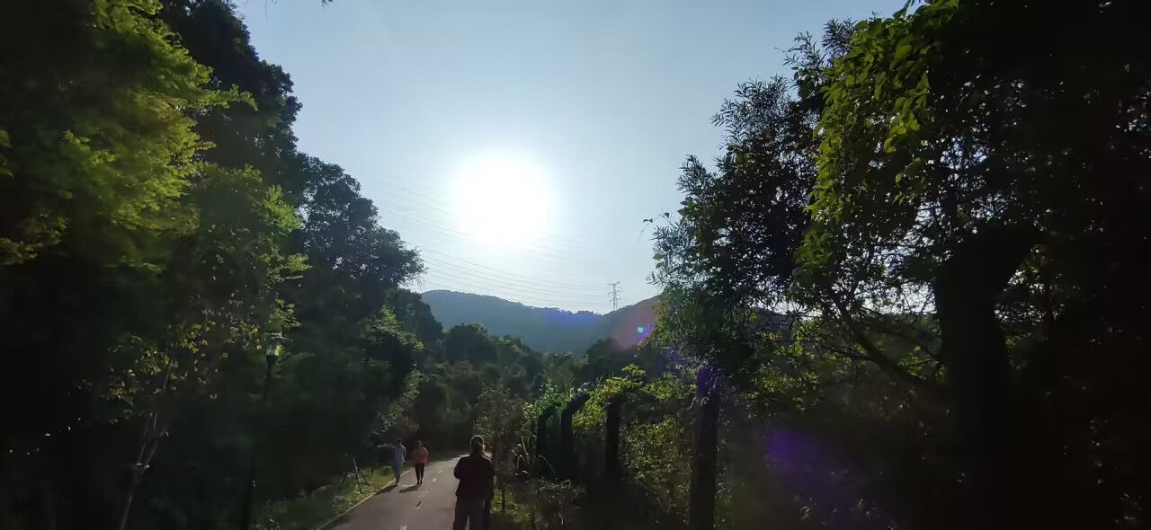 梧桐山